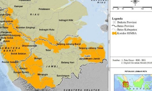 米饭含有哪些成分-权威米饭富含什么平台,分享专业米饭含有什么营养成分知识_米饭含有什么营养成分网