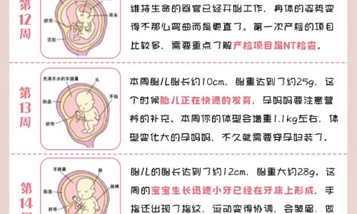 权威米饭富含什么平台,分享专业米饭含有什么营养成分知识_米饭含有什么营养成分网