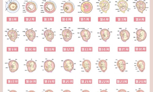 权威米饭富含什么平台,分享专业米饭含有什么营养成分知识_米饭含有什么营养成分网