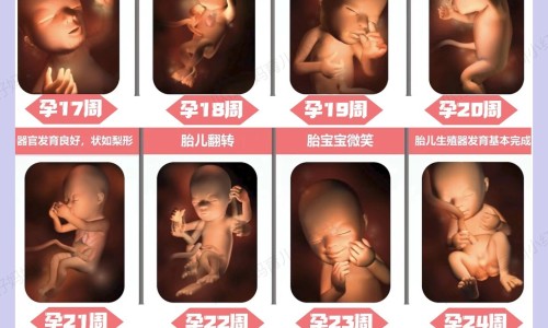 权威米饭富含什么平台,分享专业米饭含有什么营养成分知识_米饭含有什么营养成分网